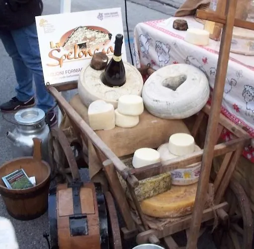 Appartement Casa Ester